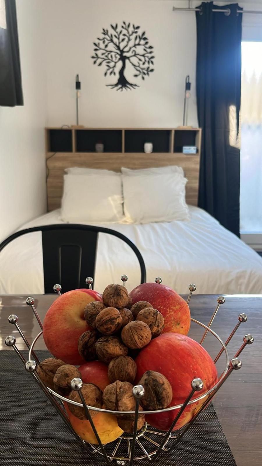 Studio Aux Pieds Des Vignes Eguisheim Exteriér fotografie