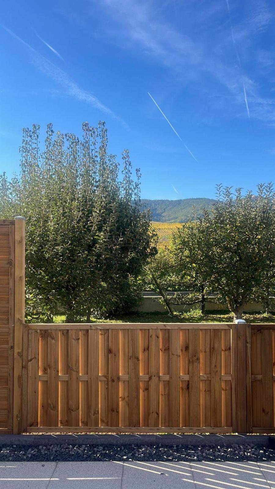 Studio Aux Pieds Des Vignes Eguisheim Exteriér fotografie